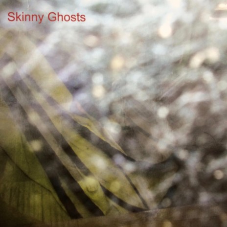 Skinny Ghost | Boomplay Music