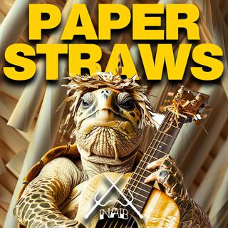 Paper Straws