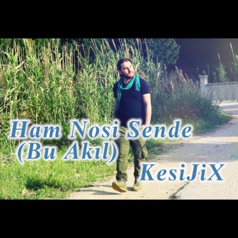 Ham Nosi Sende | Boomplay Music