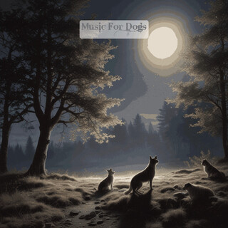 Music For Dogs