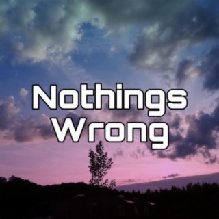 Nothings Wrong