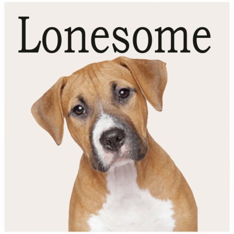 Lonesome and Me | Boomplay Music