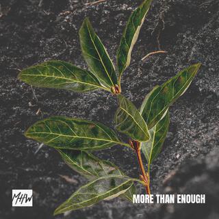 More Than Enough