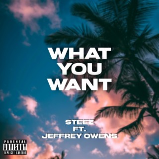 What You Want ft. Jeffrey Owens lyrics | Boomplay Music