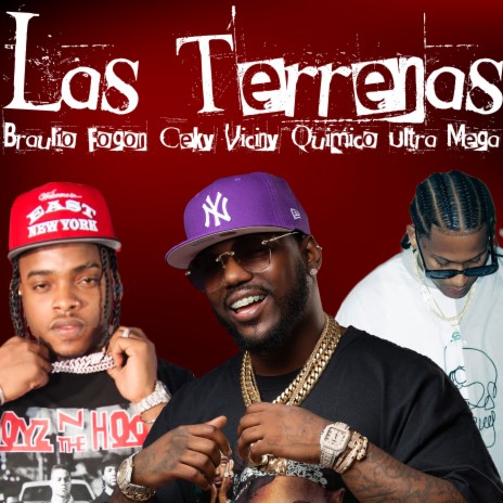 Las Terrenas ft. Braulio Fogon & Quimico Ultra Mega | Boomplay Music