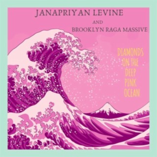 Janapriyan Levine & Brooklyn Raga Massive