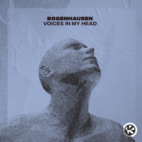 Voices in My Head | Boomplay Music