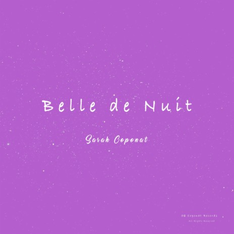 Belle de Nuit