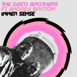 The Disco Brothers