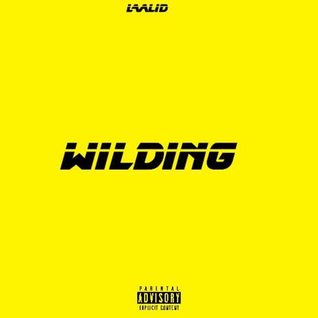 Wilding | Boomplay Music