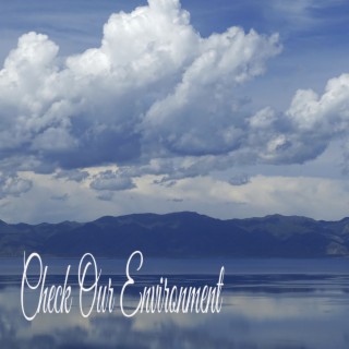 Check Our Environment