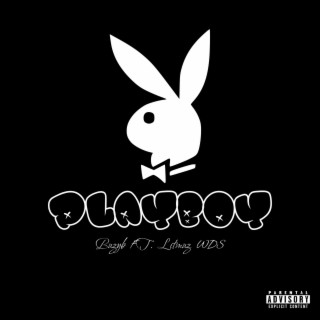 Playboy ft. Litmuz_WDS lyrics | Boomplay Music