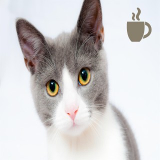 Cat Café Background Jazz