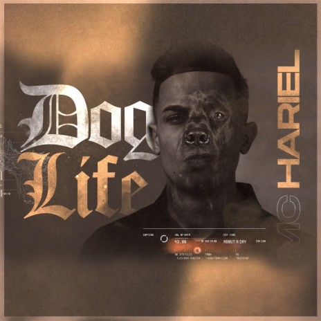 Dog Life | Boomplay Music