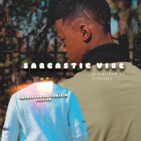 Sarcastic vibes ft. DJ Platinum sa | Boomplay Music