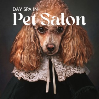 Day Spa In Pet Salon: Dog Spa Music, Calming Relaxing Healing Music 4 your Dog, Pet Care Music Therapy