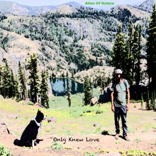 Only Knew Love lyrics | Boomplay Music