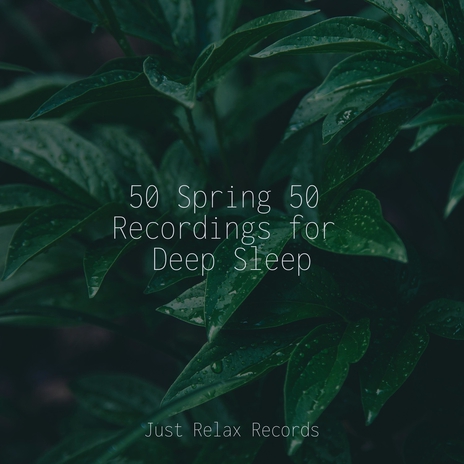 Fleeting Thaw of Time ft. Deep Sleep Meditation & Zen | Boomplay Music