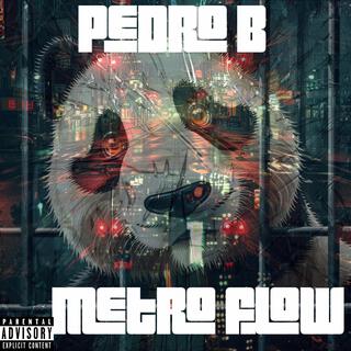 Metro flow lyrics | Boomplay Music