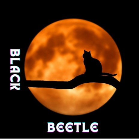 Black Beetle | Boomplay Music