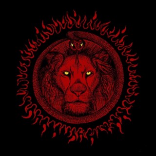 Lions lyrics | Boomplay Music