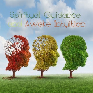 Spiritual Guidance and Awake Intuition