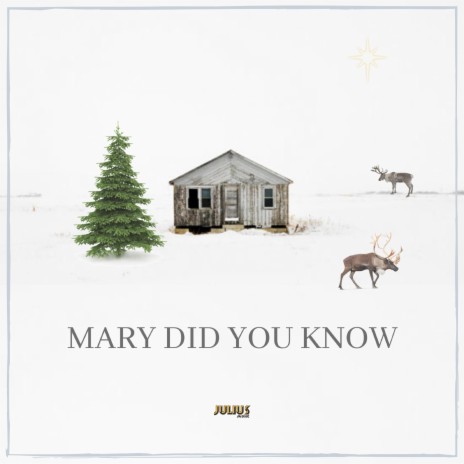 Mary Did You Know | Boomplay Music