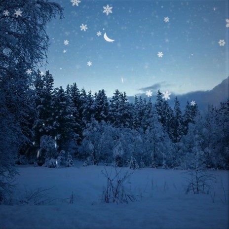 Snowflakes So Quietly | Boomplay Music