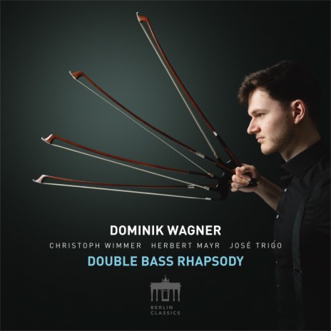 Bohemian Rhapsody (Double Bass Version Arr. By Dominik Wagner for Double Bass Quartet) ft. José Trigo, Christoph Wimmer & Herbert Mayr | Boomplay Music