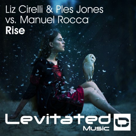 Rise (Radio Edit) ft. Ples Jones & Manuel Rocca