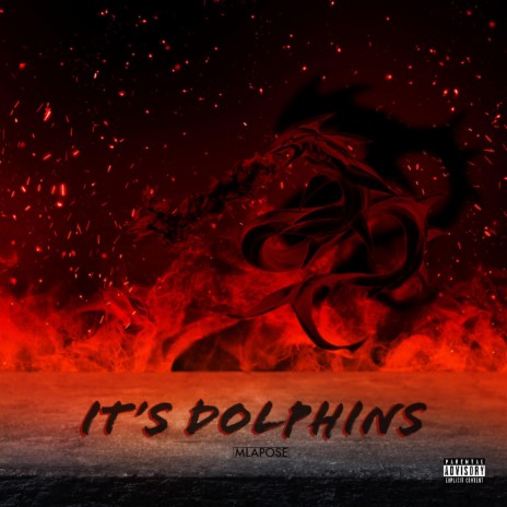 It's Dolphins | Boomplay Music