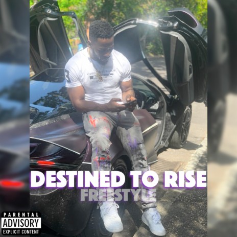 Destined To Rise Freestyle | Boomplay Music