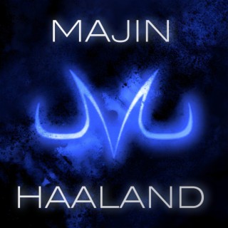 Majin Haaland