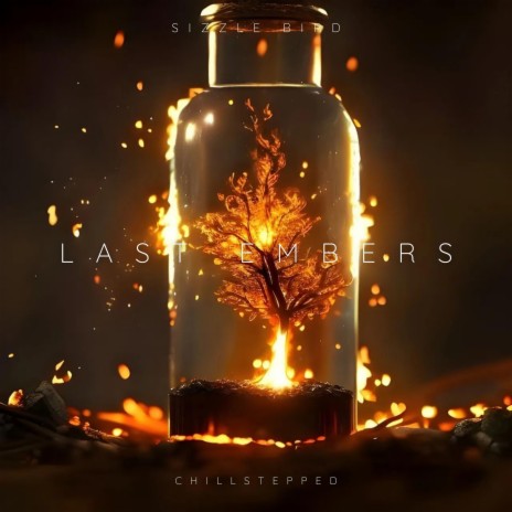 Last Embers ft. Chillstepped & Chilled