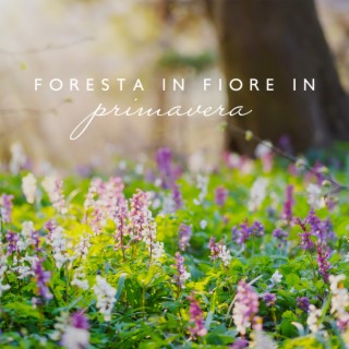 Foresta in fiore in primavera: Meditazione con la natura, Terapia curativa, Suoni della natura viva
