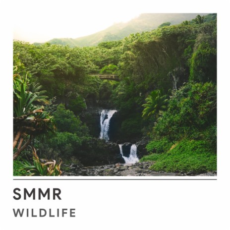 Wildlife | Boomplay Music