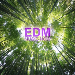 EDM Music Now