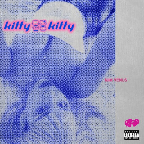 kitty kitty | Boomplay Music