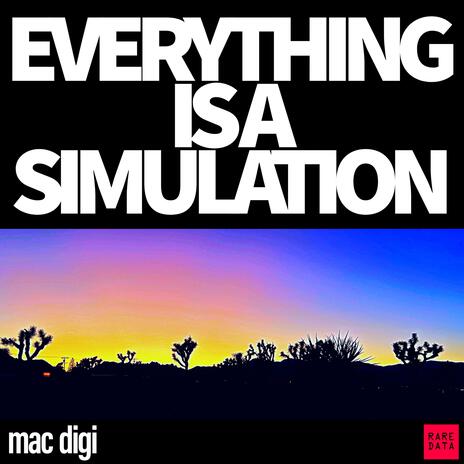 EVERYTHING IS A SIMULATION | Boomplay Music