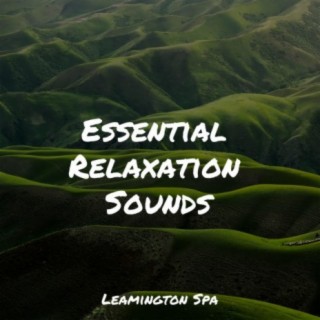 Healing Sounds for Deep Sleep and Relaxation