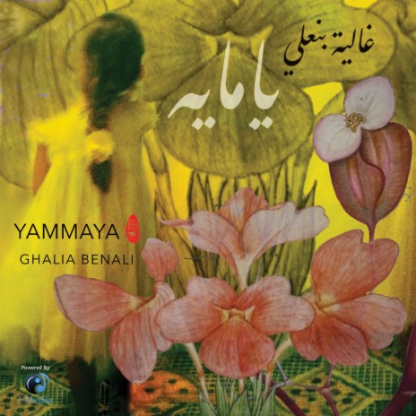 Yammaya | Boomplay Music