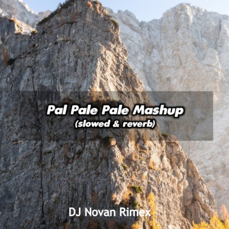Pal Pale Pale Mashup | Boomplay Music