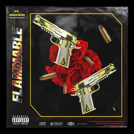 Flammable | Boomplay Music