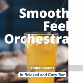 In Relaxed and Cozy Bar - Tender Dreams