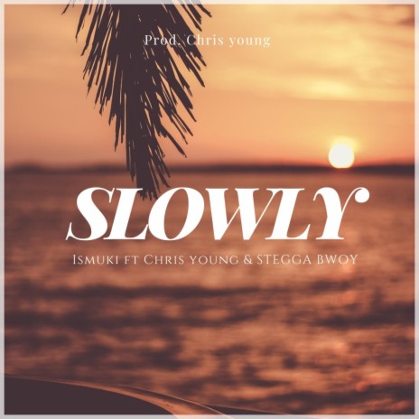 Slowly (feat. Chris Young & Stegga Bwoy) | Boomplay Music