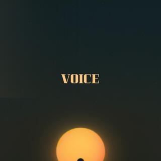 Voice