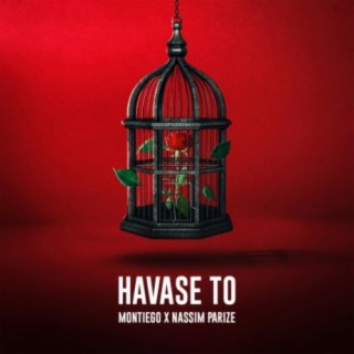 Havase to (feat. Nassim)