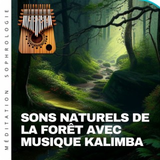 Sons naturels de la forêt avec musique kalimba