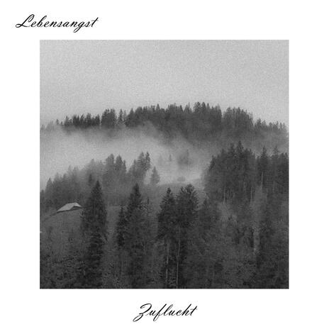 Liebestraum | Boomplay Music