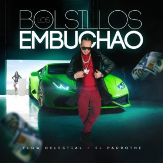 Los Bolsillos Embuchao ft. El Padrothe lyrics | Boomplay Music